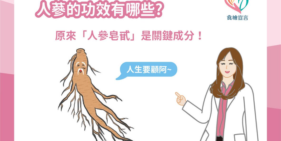 人蔘的功效有哪些？原來「人參皂甙」是關鍵成分！