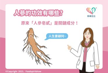 人蔘的功效有哪些？原來「人參皂甙」是關鍵成分！