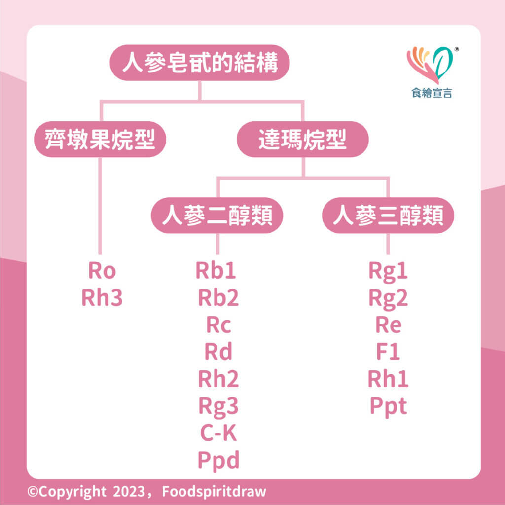 人參含有人參皂苷